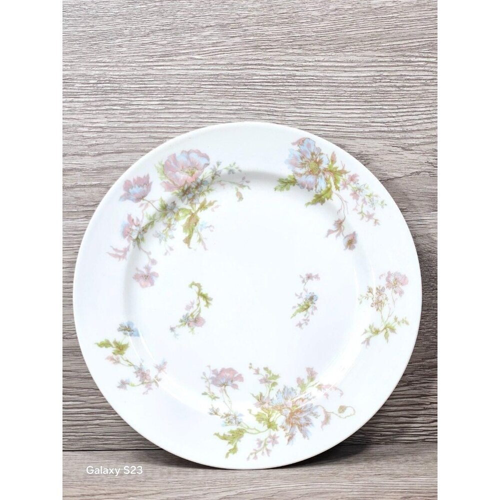 Haviland France Hand Painted Pink Blue Flowers Antique 9" Plate